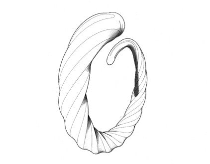 Gazelle Horns Ring III