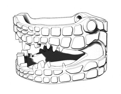 Crocodile Ring